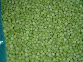 green pea