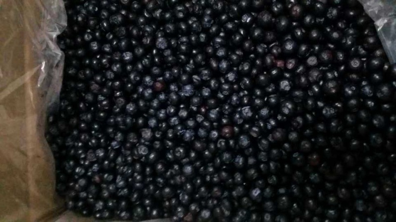 blueberries