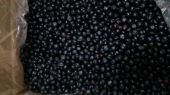blueberries